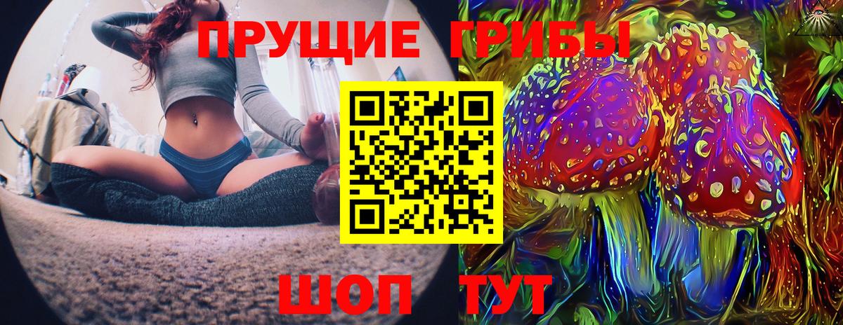 Псилоцибиновые грибы Cubensis Нижний Тагил